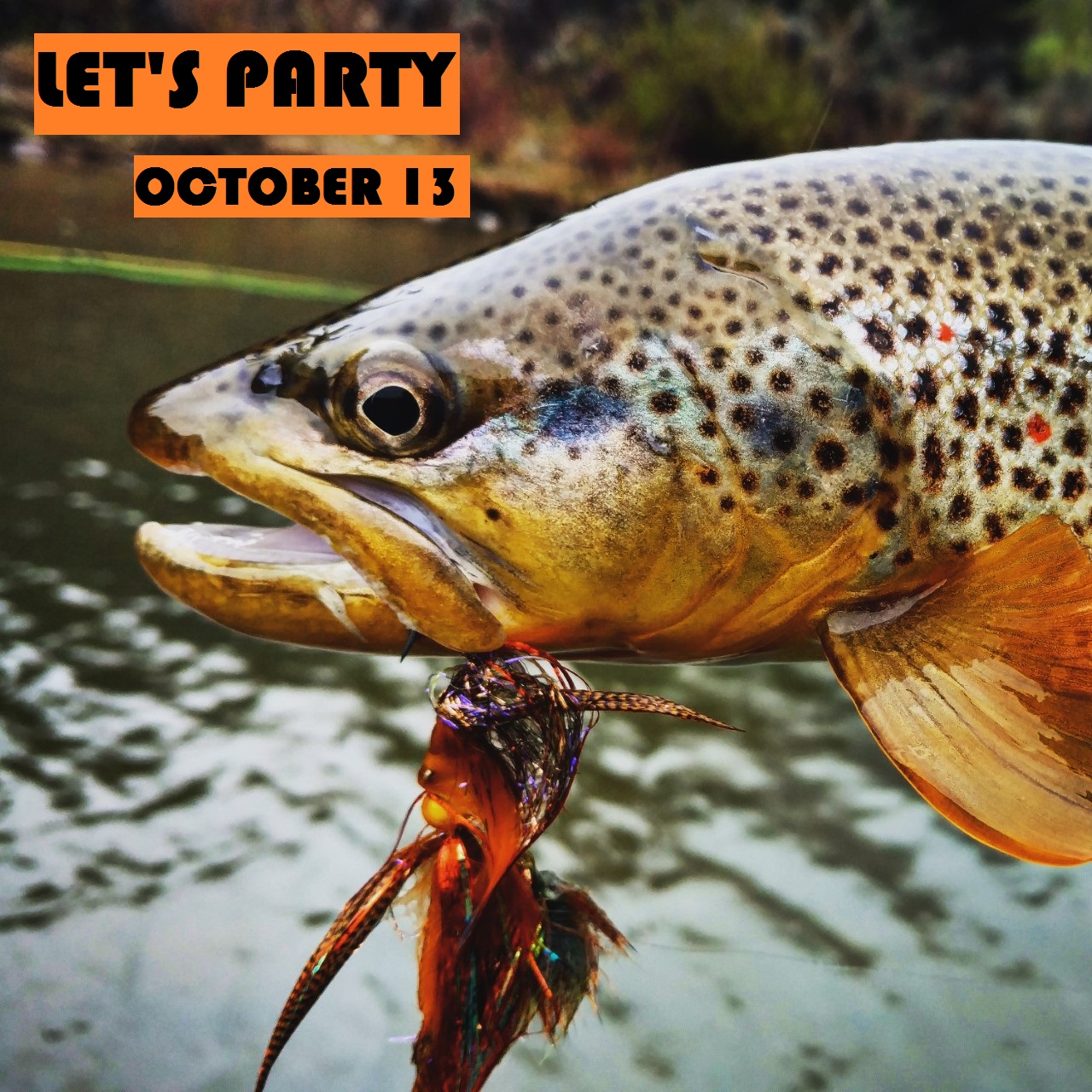 MRF Fly Fishing Party